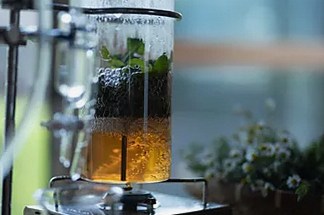 庭のハーブ、育てるだけではもったいない。「ハーブ蒸留」という新しい楽しみ方
