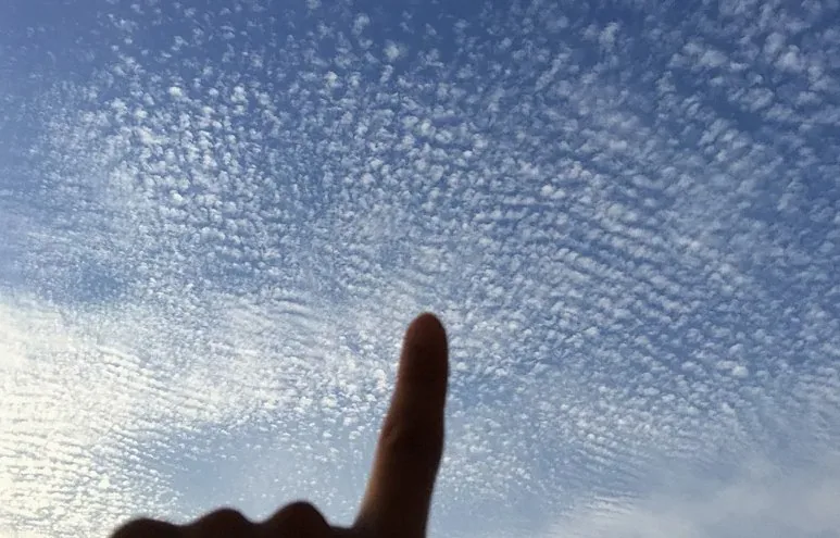 秋の空で出合ういわし雲とひつじ雲。指一本でできる見分け方