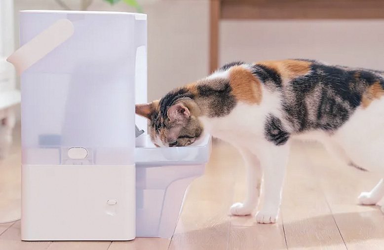 ペット用「AIカメラ付き自動給水機」　愛犬・愛猫の顔を認識し、飲水状況を記録します